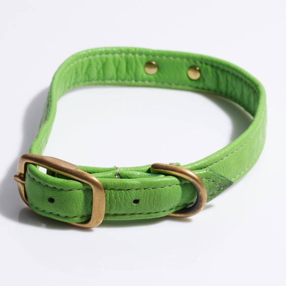 Leather Dog Collar by Hound Collection with Gold Bar Logo - Picture 2 of 8